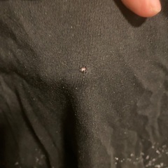 本日取りに来れる方限定⭕️ルイヴィトン　半袖　並行輸入の画像