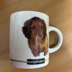 犬🐕のチビマグカップ
