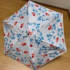 晴雨兼用　日傘の画像