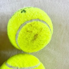 【無料】 テニスボール　2個　の画像