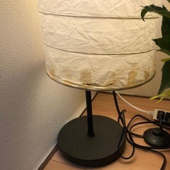 間接照明とフェイク植栽と岩塩のライト3800円の画像