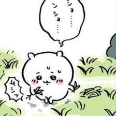 草むしり　手伝っていただけませんか？