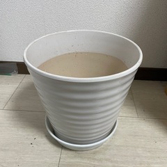 植木鉢 8号  24センチ