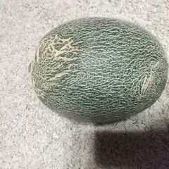 完売しました🍈七城メロン。肥後グリーン。６月2２日食べごろ。規格外、割れはございません。の画像