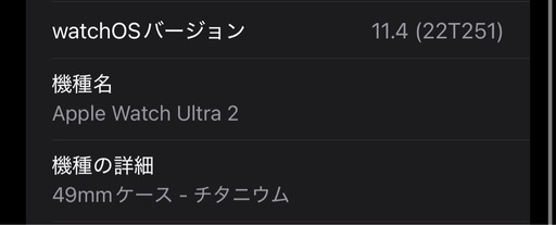 限定値下げ Applewatch ultra2 チタニウム