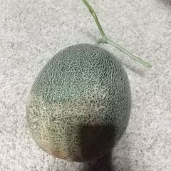 完売しました🍈七城メロン。肥後グリーン。６月2２日食べごろ。規格外、割れはございません。の画像