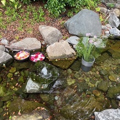 カフェ活🌱