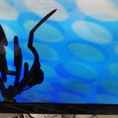 ジャンクのテレビ　マクスゼン　液晶割れ　40インチの画像