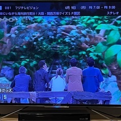 49型　　テレビの画像