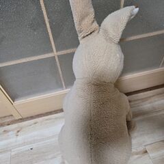 Teddy bear 🧸 