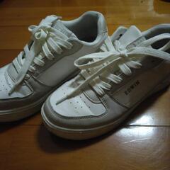 EDWINスニーカー24センチ