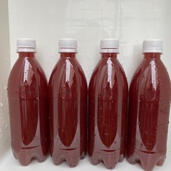 濃縮PSB 🍷　光合成細菌🦠　500ml 