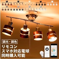 シーリングライトセットの画像