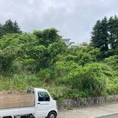 草刈り、庭の手入れに対応する便利屋です。（地域密着、地元に根付いたお店です） - 剪定/造園