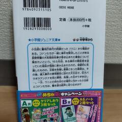 【半額以下　中古美品】名探偵コナン　隻眼のフラッシュバッグの画像
