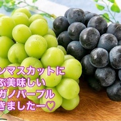 新鮮なナガノパープル🍇ご予約出来ます☆