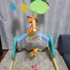 プーメリー（2024年1月購入）