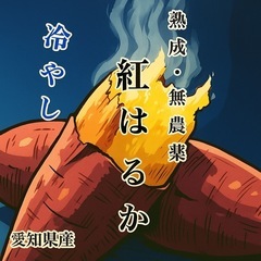 焼き芋、冷やし焼き芋、干し芋、さつまいも商品の買取販売