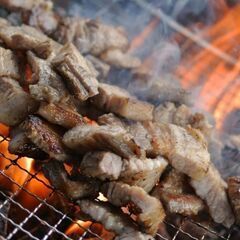 【20代・30代】ソフトバレー☆オフ会BBQ♪