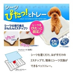 犬用 トイレトレーの画像