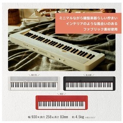 電子ピアノ カシオトーン casiotone CT-S1の画像