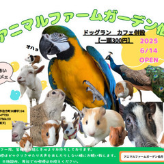 6月14日　オープン！　Welcome feather　プレゼント