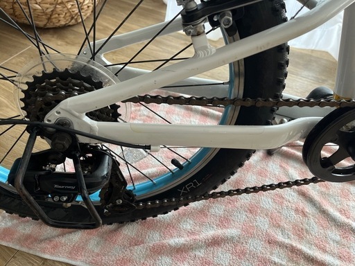 最終値下トレック　キッズ　20インチ