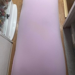 【受け渡し相手確定】Yogibo Max ヨギボー マックス Pastel Collectionの画像