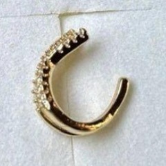 DAMA イヤーカフ K14 GOLDの画像