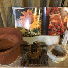 【 無料植木鉢🪴🪴２個と 鉢とみたてる想像の素材葡萄アイアン🪴🍇...