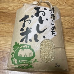 1等米　令和6年産　ひとめぼれ　玄米　5kg