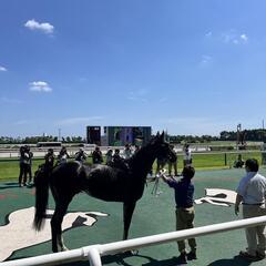 競馬出来る仲間！