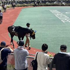 競馬出来る仲間！ - 友達