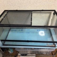 エキゾテラ　90 45 決まりました。