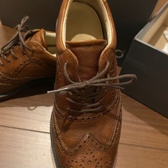 エコー　ecco ゴルフシューズの画像