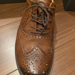 エコー　ecco ゴルフシューズの画像