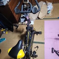 HAIGE   フィットネスバイクの画像