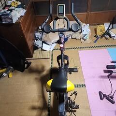 HAIGE   フィットネスバイクの画像