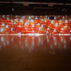 【ヨガ】【新宿区】【リピート率100%】【手軽な都度払い】の画像