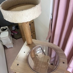 キャットタワー『お問い合わせ1件あり』