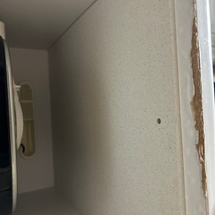 決まりました😊引っ越しのため断捨離。食器棚✨️の画像