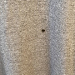 UNIFORM EXPERIMENT グレー Tシャツ藤原ヒロシの画像