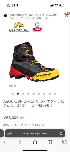 【値下げ】
AEQUILIBRIUM LT GTX エクイビリウム size42