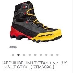 AEQUILIBRIUM LT GTX エクイビリウム size42
