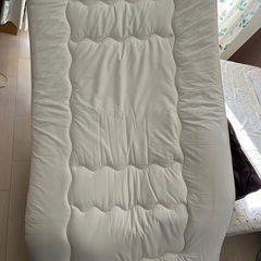 ニトリの敷パッドの画像