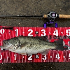 釣り仲間募集中です！