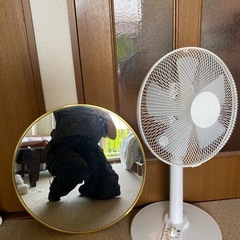 丸い壁掛けミラー/鏡の画像