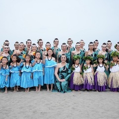 【新浦安フラダンス】 新設クラス・新規生徒募集！の画像