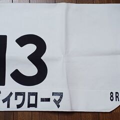 競走馬 ゼッケン ダイワローマ