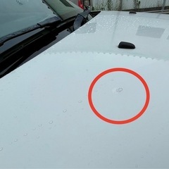 BMW 120カブリオレ　ホワイトの画像